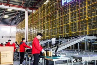 2019年度優秀工程獎項目賞析 重慶飛力達自動化立體倉庫的卓越自動化工程實踐