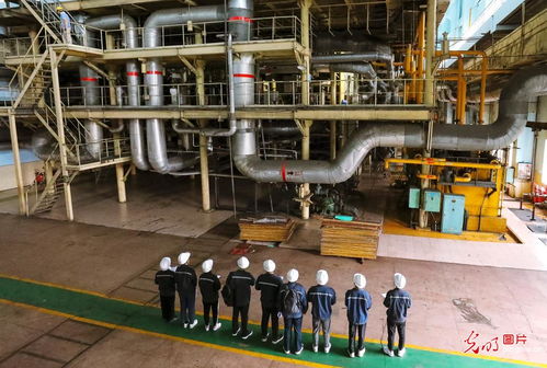 湖南衡陽 依托周邊資源，精準培養電力工匠與自動化工程人才